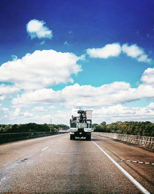 Climbing High Tree Specialists
