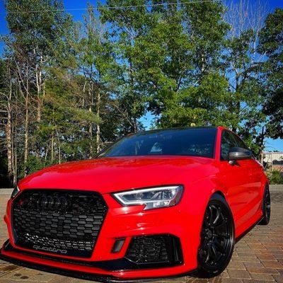 Southern Dawg Detailing