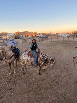 Hetzel Farrier Service