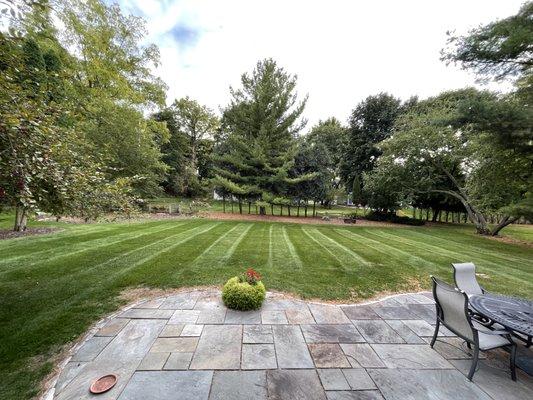 Mazaba’s Lawn & Landscaping