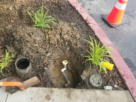 University Capital Management