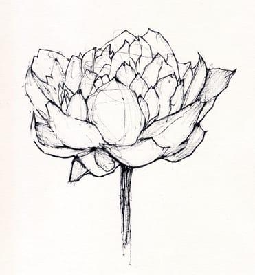 Natural Gourmet Kitchen