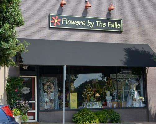 Flowers by The Falls