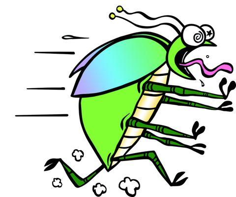 Bye Bye Bugs Pest Control