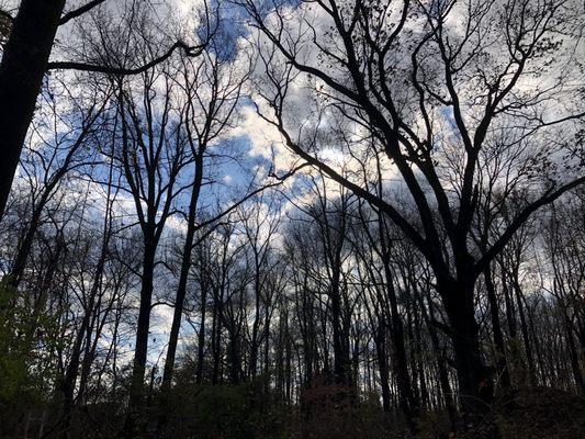 Iron Hill Museum & Science Center