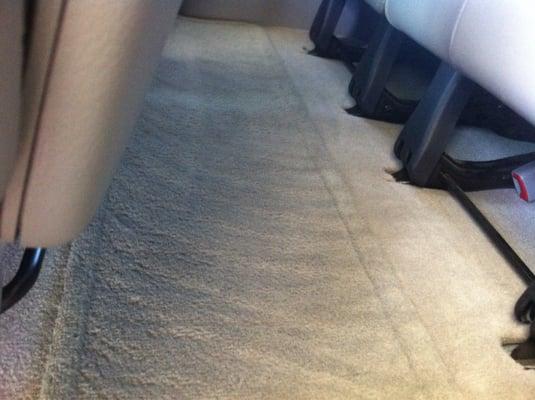 Professional shampooing done by hand!