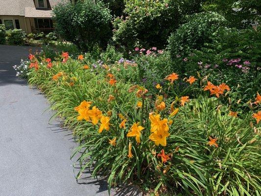 "Those Guys Landscaping"