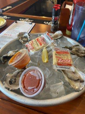 Raw oysters