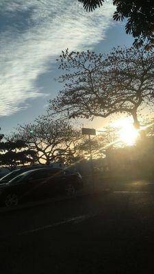 Kailua Professional Center II