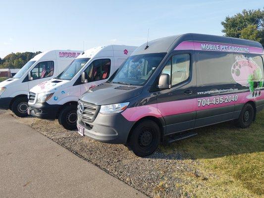 Pet Hair Design Studio Mobile Grooming