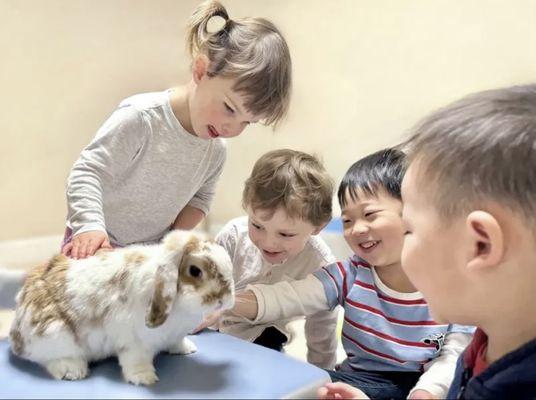 Creative Valley Child Care