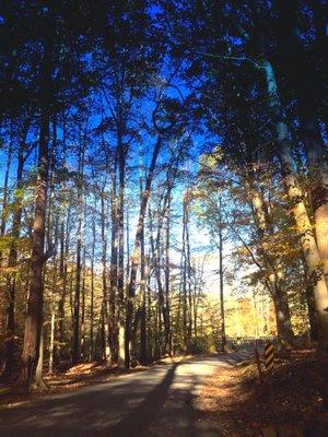 Fair Hill Nature Center
