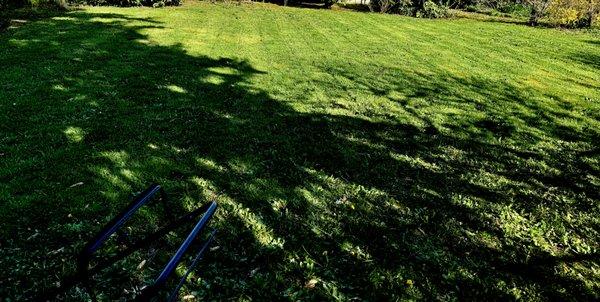 JGB Landscaping & Maintenance