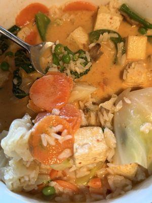 Panang Curry with extra veggies.