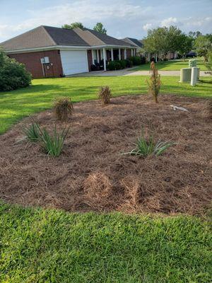 Ground Level Stump Grinding Service