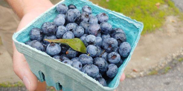 #LocalAdventureChallenge: Shop At A Farmers' Market.
