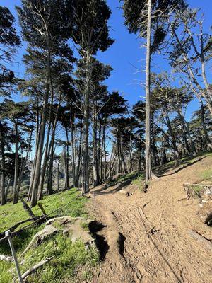Lobos Creek Valley Trail at the Presidio