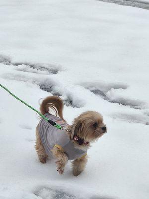 Branchville Animal Hospital