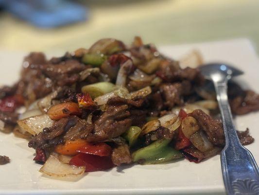 The spicy lamb was really good too, def has a kick at mild