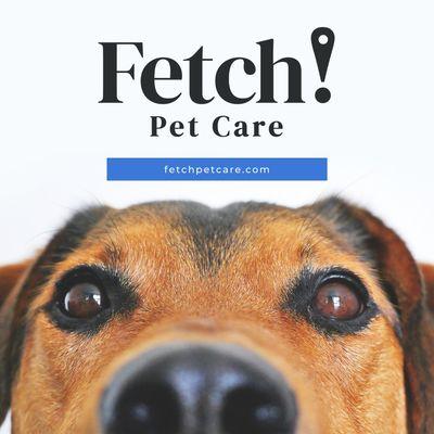 Fetch! Pet Care West Santa Clara