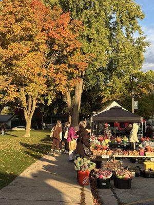 South Shore Farmers Market