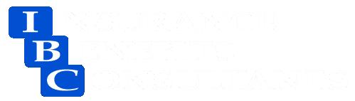 Insurance Benefits Consultants