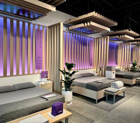 Purple - Garden City