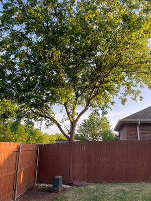 Realty International