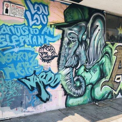 It's about Lou, the A's elephant.