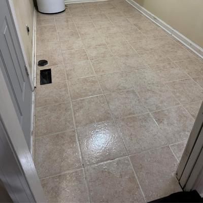 Grout color seal in Argyle