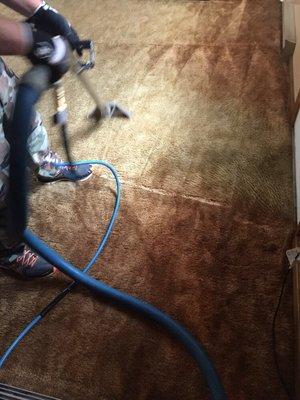 Breen Carpet Cleaning & Maintenance