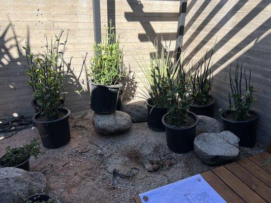 Green Hands Landscaping