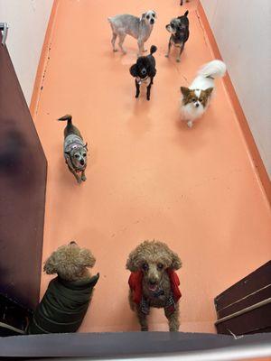 Chill room. Sister in red, brother in green coats