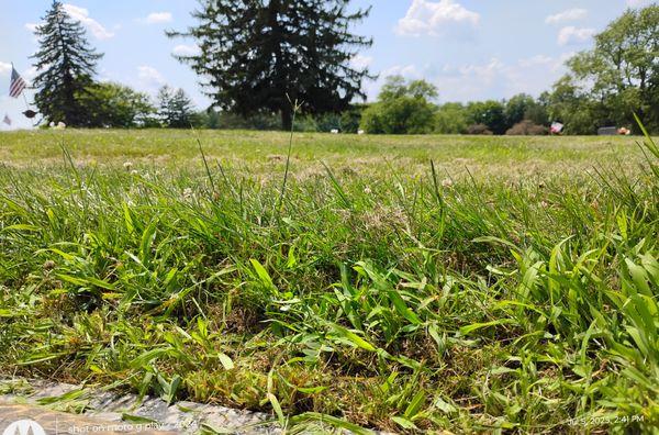 Greenlawn Burial Estates & Mausoleum