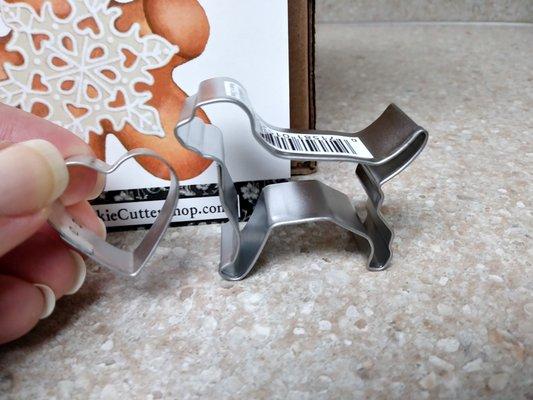 Close-up of the mini-labrador and mini-heart