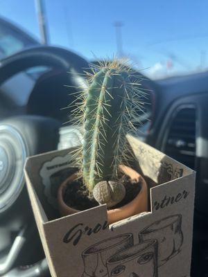 Custom potting for a birthday gift