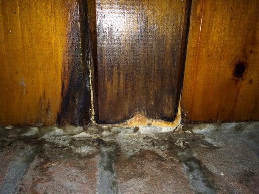 Mold over the fireplace!! Stay here at your own health risk! Our baby got sick!