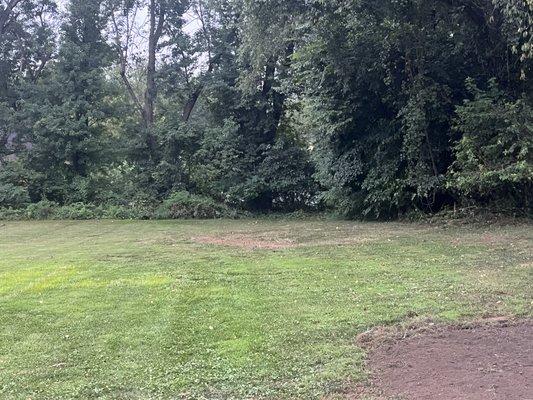 Blue Line Contracting