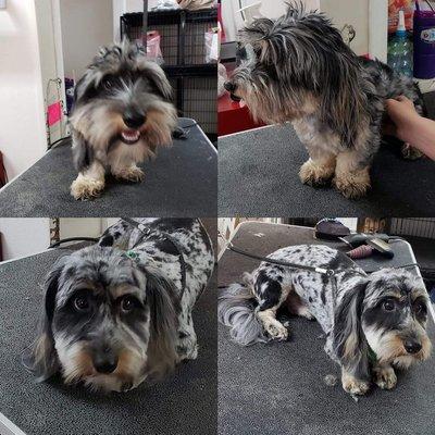 Spud. Before and after