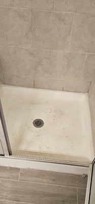 Jessica's Cleaning Services