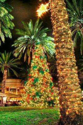 From our World to yours.