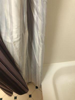 Single layer shower curtain that didn't reach floor
