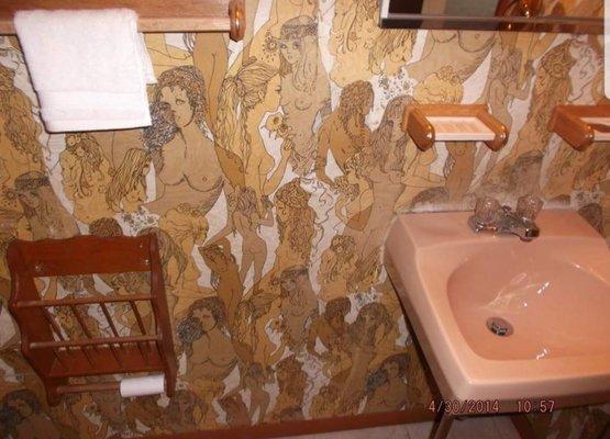 The master bathroom in a 1957 Baltimore City house...
