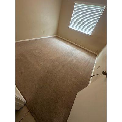 Carpet Cleaning in Houston, TX