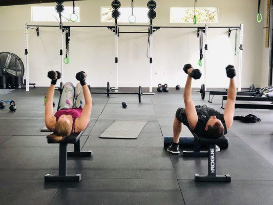 Thrive Fitness Alfalfa