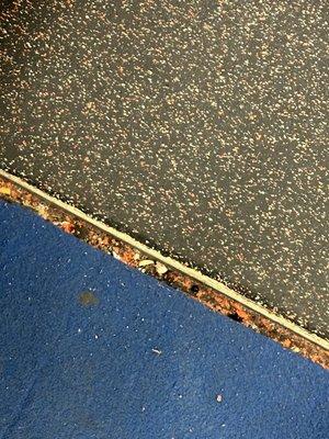 Sky Zone Trampoline Park