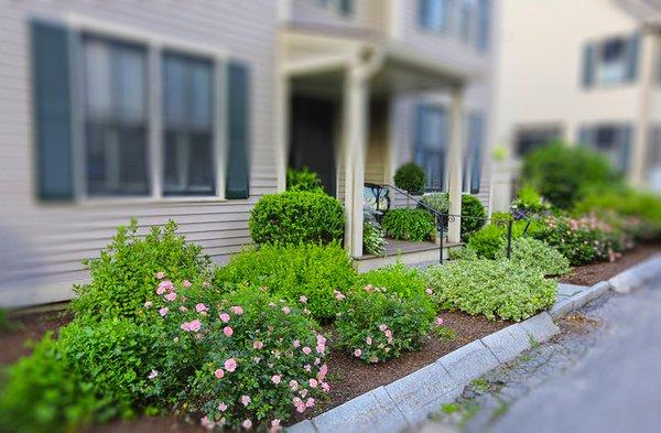 Sullivan Landscape & Stone