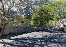 Dream Green Tree and Landscaping