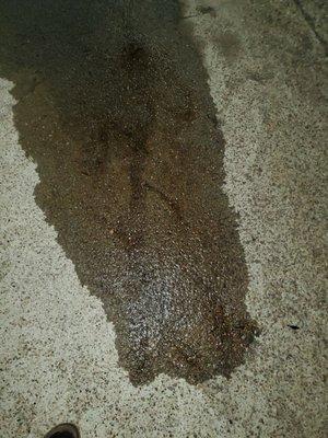 My leak now 2 weeks later