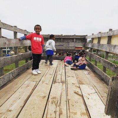 Fun on the Pumpkin Farm